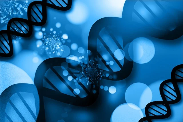 聚氨酯海綿增硬劑在制備高硬度聚氨酯仿木制品中的應用研究